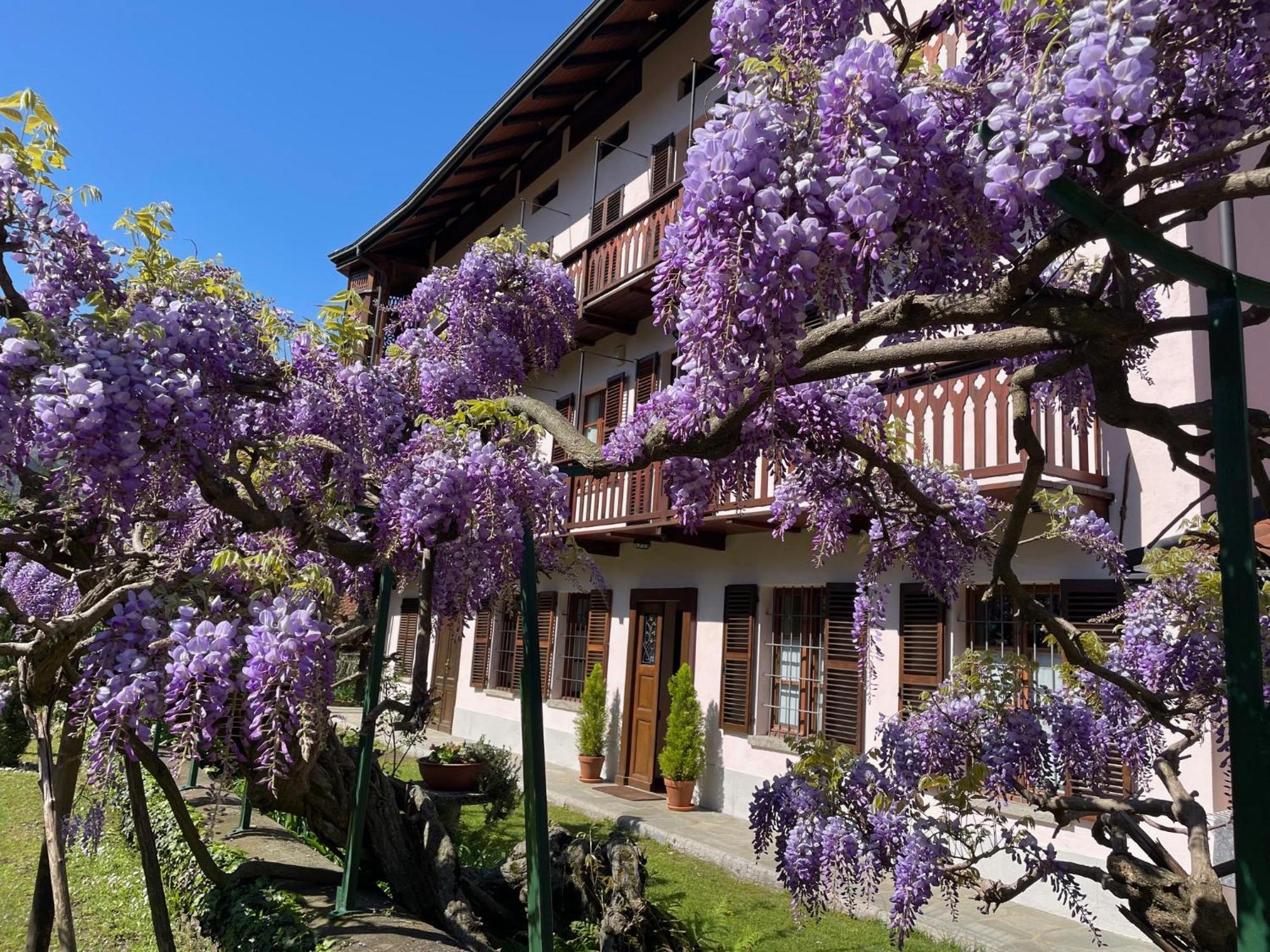 Dimora Fiorita Junior My Holiday Home Varallo Ngoại thất bức ảnh